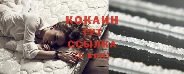 тгк Абинск