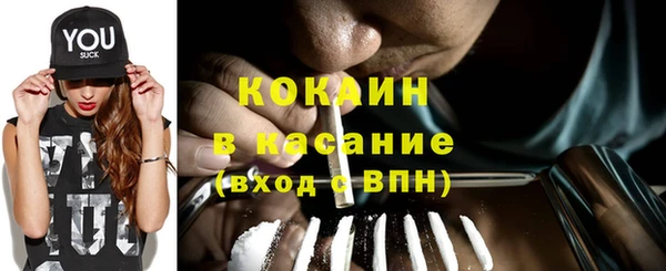 винт Абаза