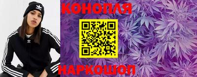мдпв Славгород