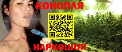 мдпв Славгород