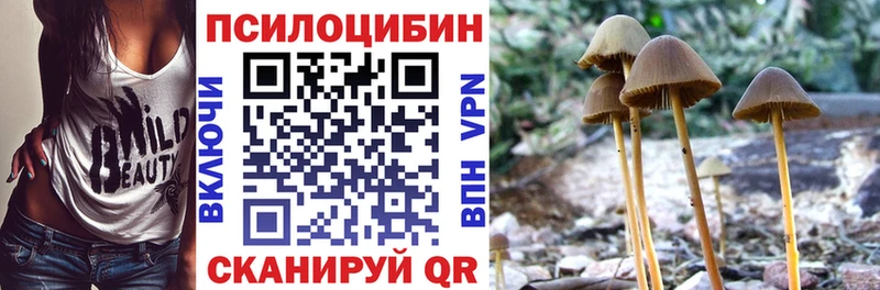 shop клад сколько стоит hydra сайт Протвино Галлюциногенные грибы Psilocybine cubensis