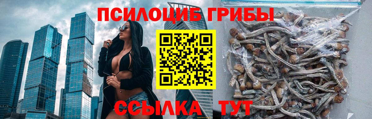 Галлюциногенные грибы мухоморы Протвино
