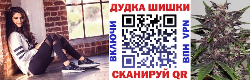 Бошки марихуана план  купить закладку  Протвино 